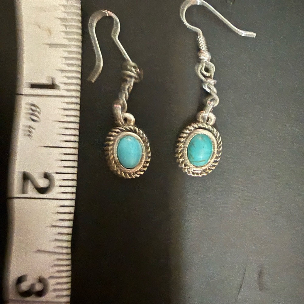 Nwt Hand Crafted Silver and Turquoise toned  Earrings